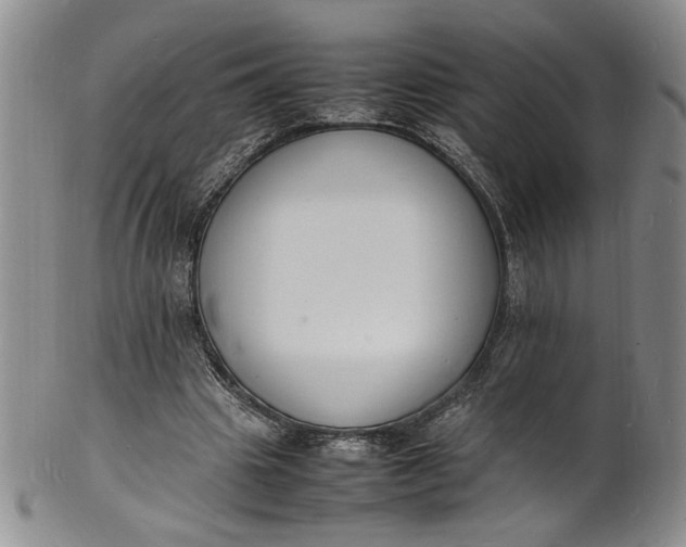 X0000100980441200807081247