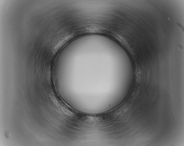 X0000100980442200807081247