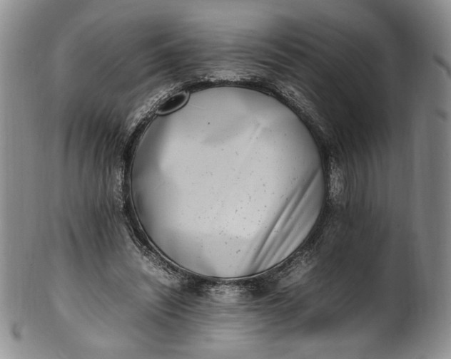 X0000100980444200807081247