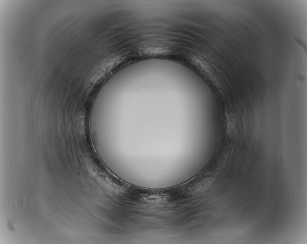 X0000100980447200807081247