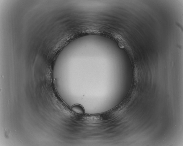 X0000100980449200807081247