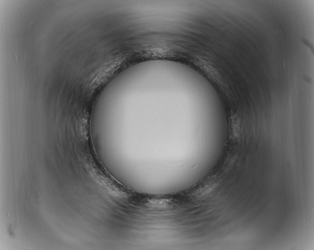 X0000100980450200807081247