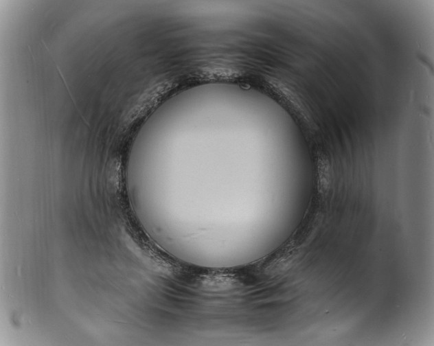 X0000100980451200807081247