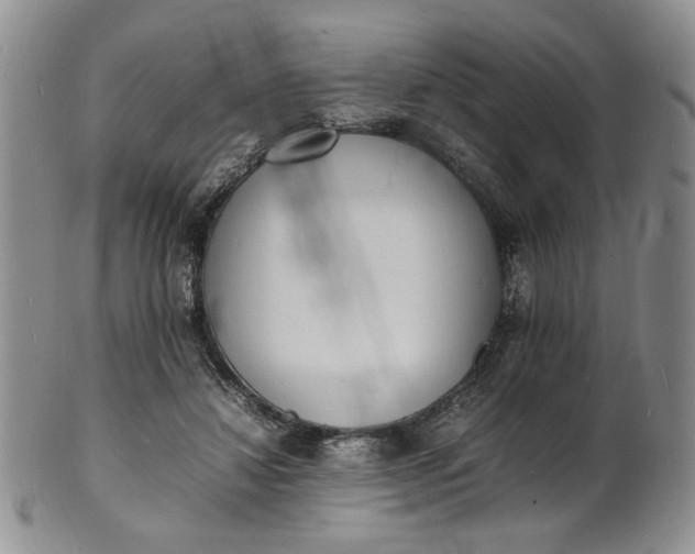 X0000100980452200807081247