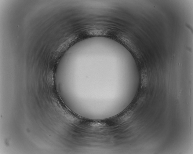 X0000100980453200807081247