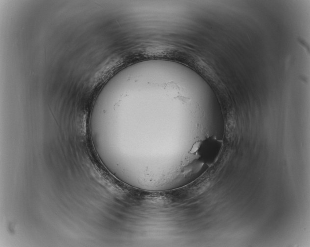 X0000100980454200807081247