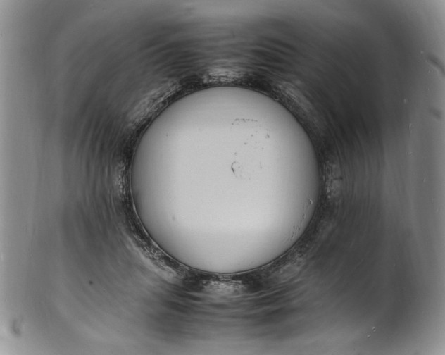 X0000100980455200807081247