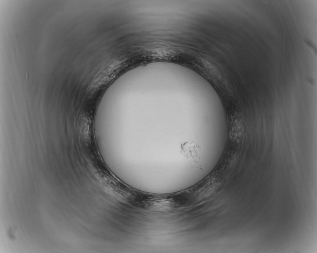 X0000100980456200807081247