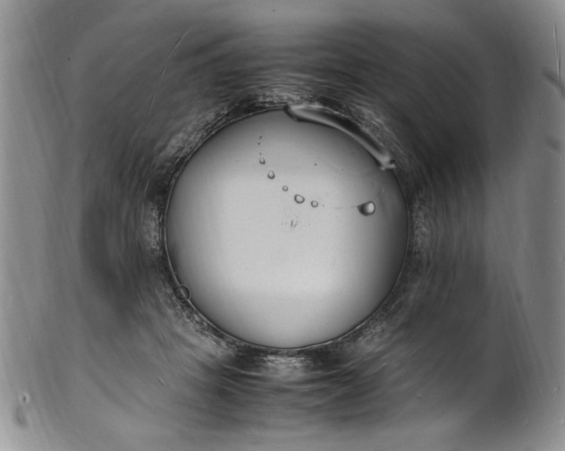 X0000100980457200807081247