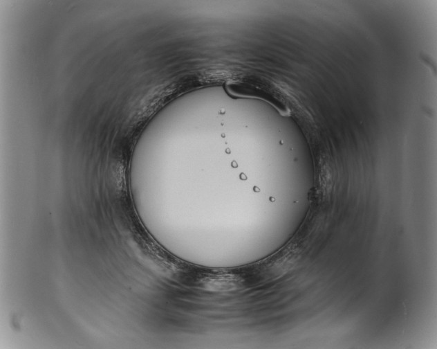 X0000100980459200807081247