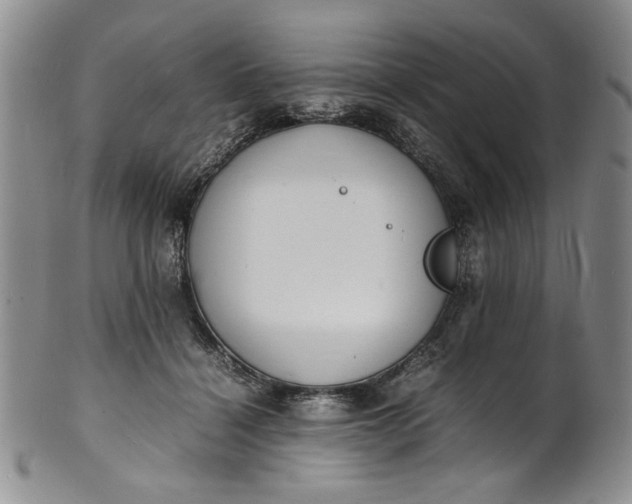 X0000100980460200807081247