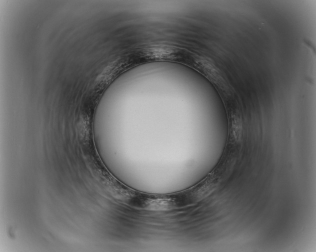 X0000100980461200807081247