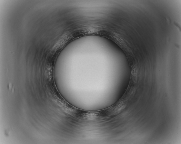 X0000100980462200807081247