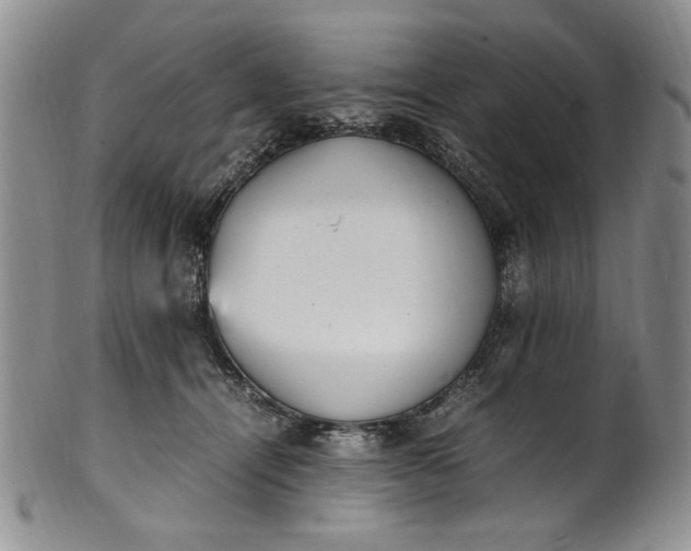 X0000100980464200807081247