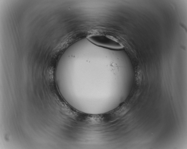 X0000100980466200807081248