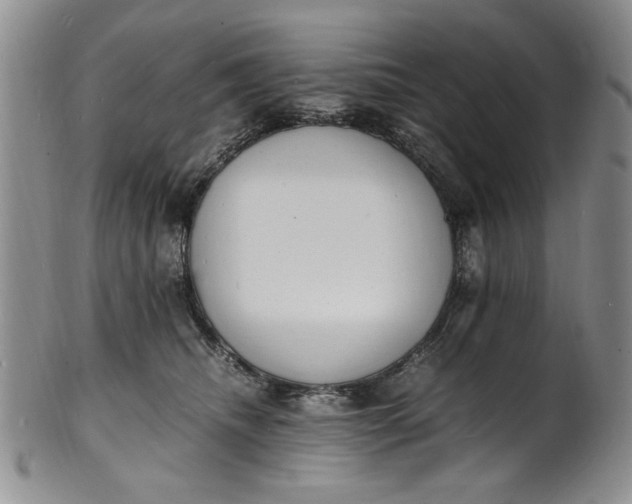 X0000100980468200807081248