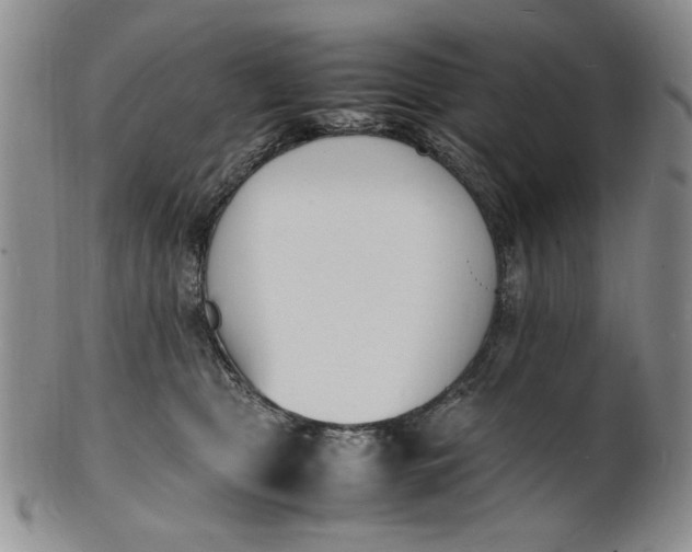 X0000100980469200807081248