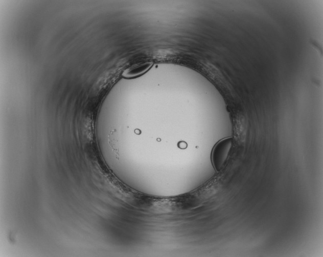 X0000100980470200807081248