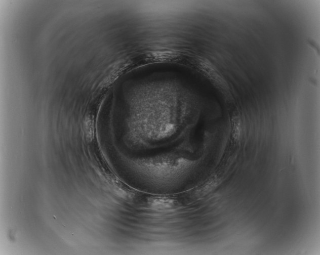 X0000100980471200807081248