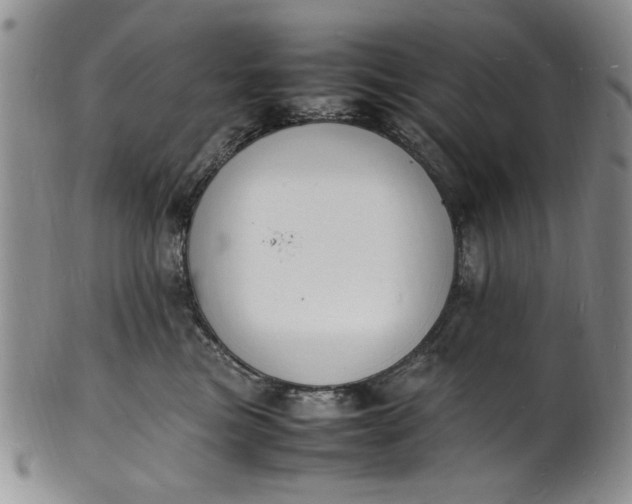 X0000100980473200807081248