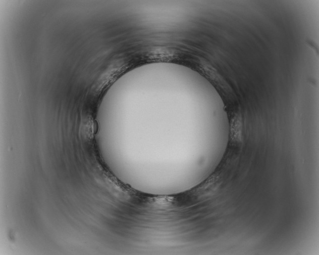 X0000100980474200807081248