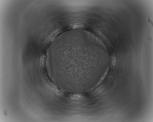 X0000100980475200807081248