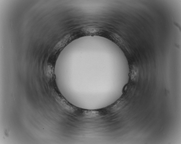 X0000100980476200807081248