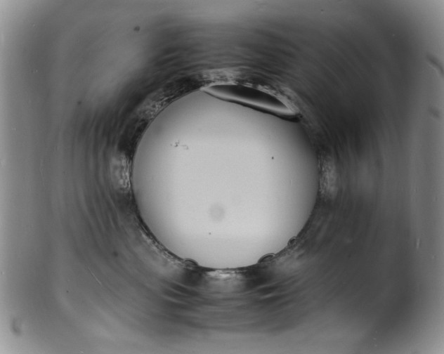 X0000100980477200807081248