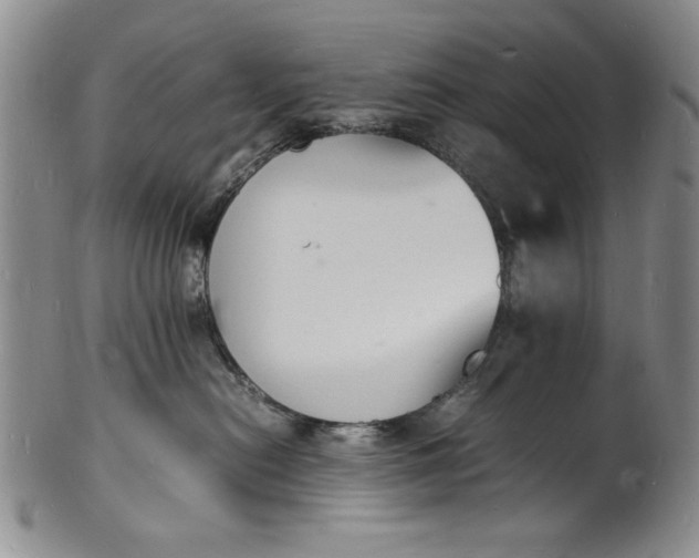 X0000100980478200807081248