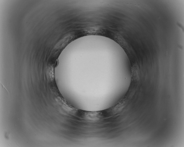 X0000100980479200807081248