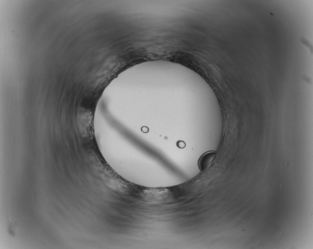 X0000100980480200807081248