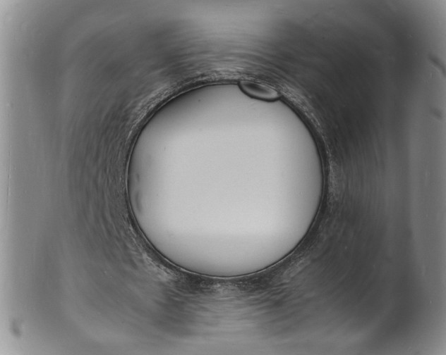 X0000100980481200807081247