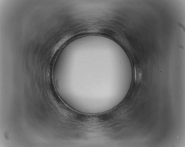 X0000100980483200807081247