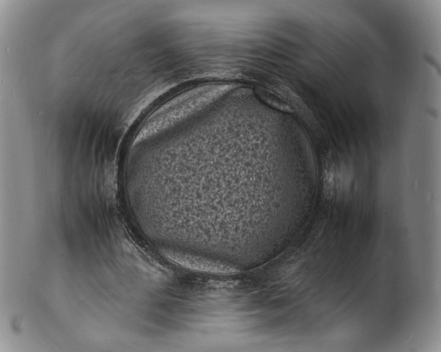 X0000100980484200807081247