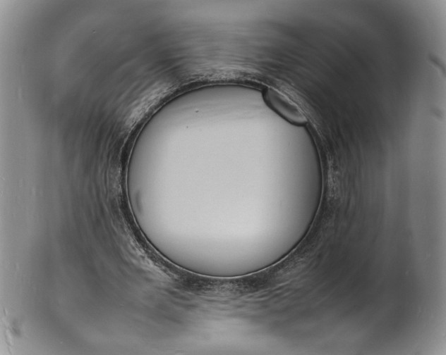 X0000100980485200807081247