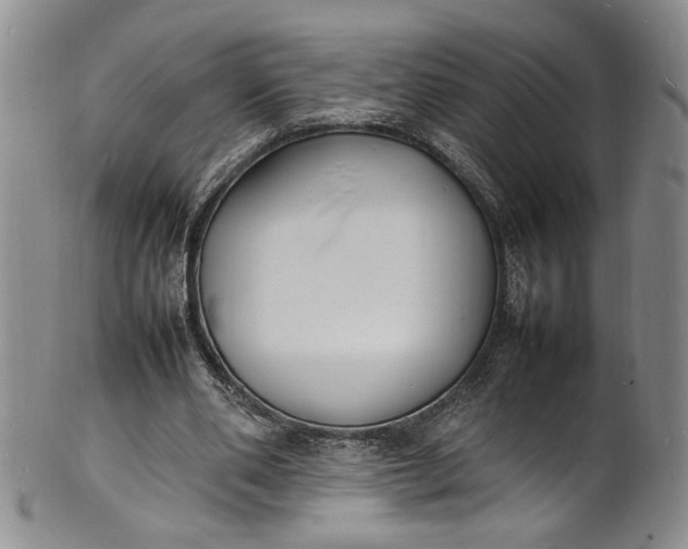 X0000100980486200807081247