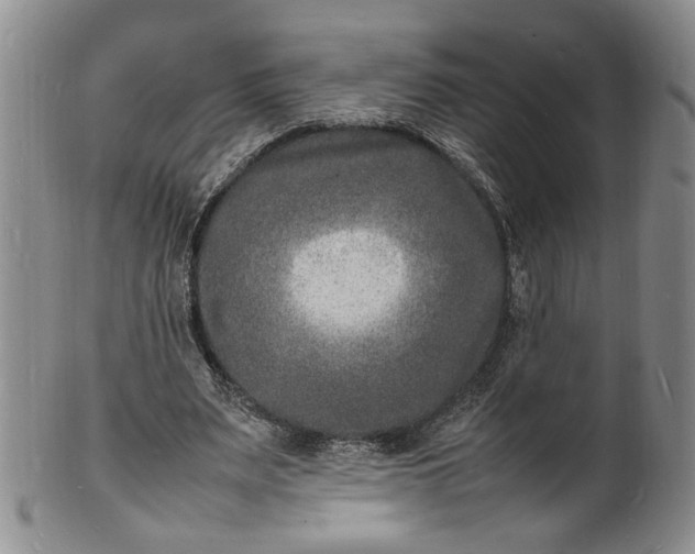 X0000100980487200807081247