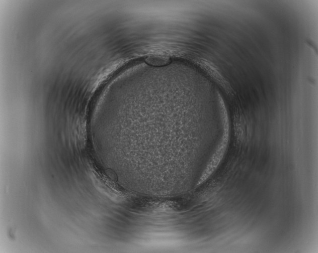 X0000100980488200807081247