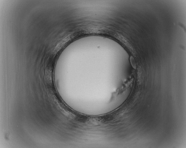 X0000100980489200807081247