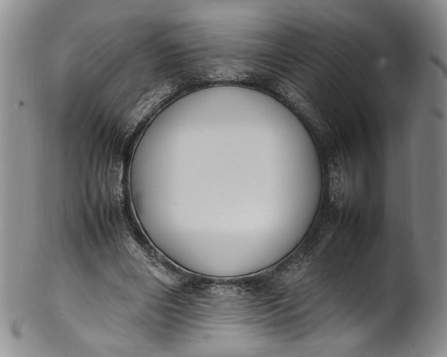 X0000100980490200807081247