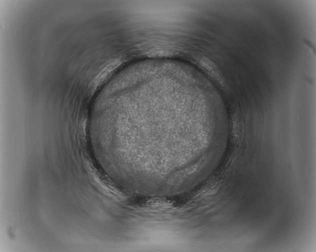 X0000100980491200807081247