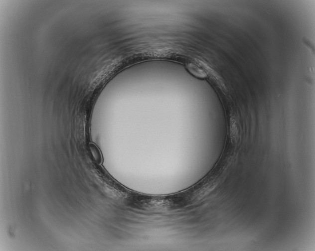 X0000100980493200807081247