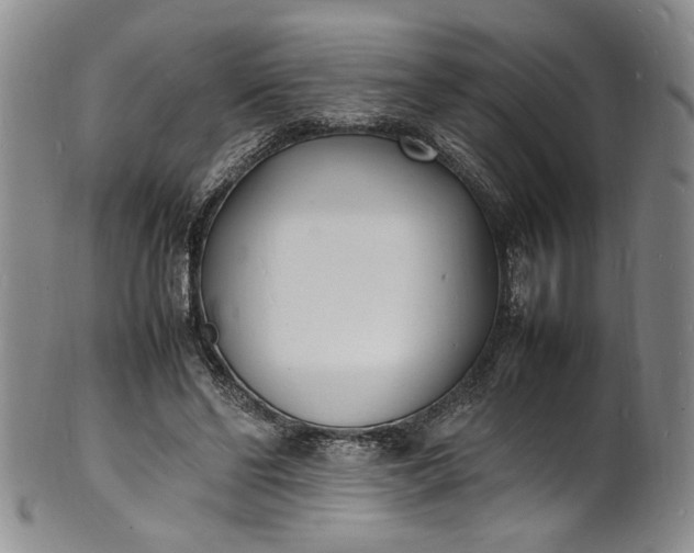 X0000100980494200807081247