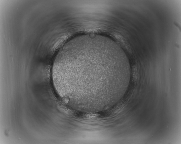 X0000100980495200807081247