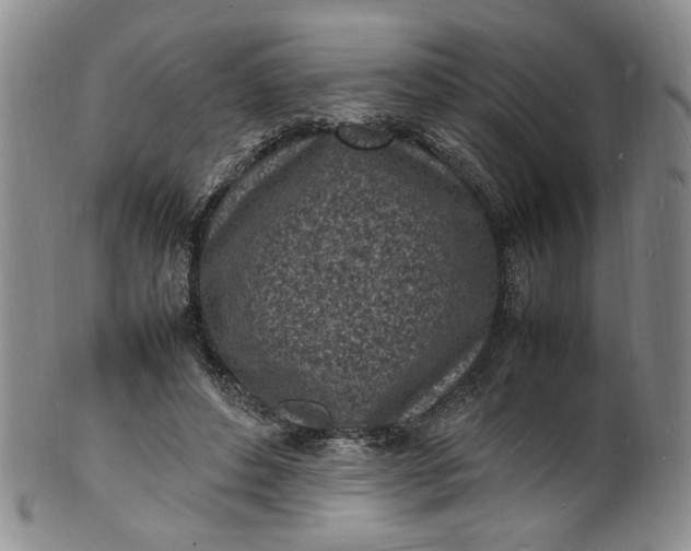 X0000100980496200807081247