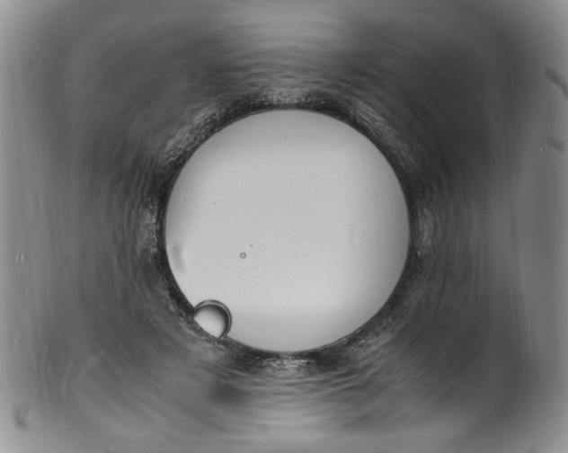 X0000100980497200807081247