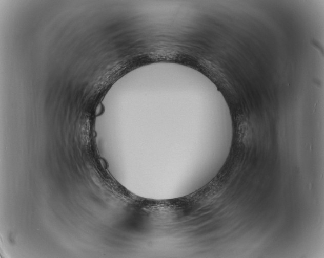 X0000100980498200807081247