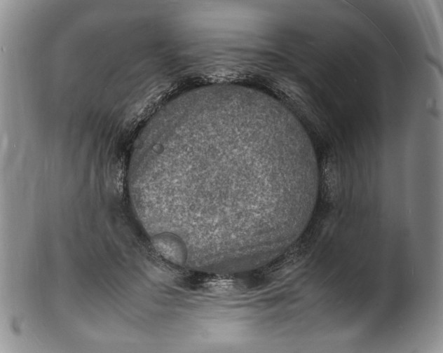 X0000100980499200807081247