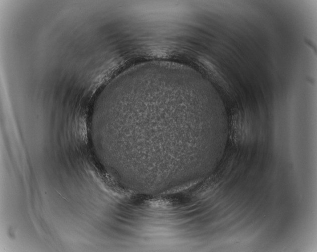 X0000100980500200807081247