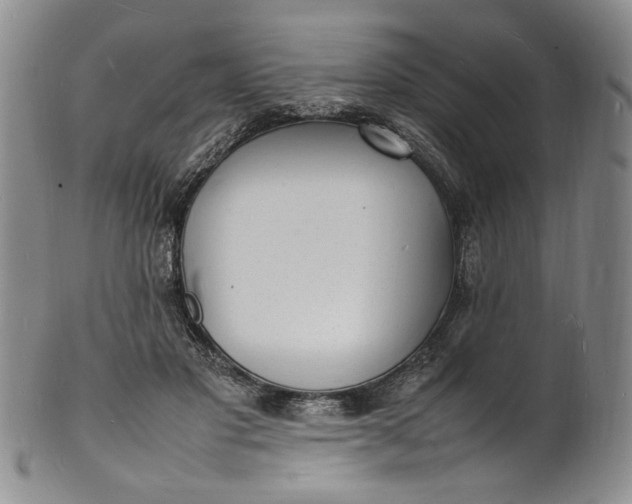 X0000100980501200807081247